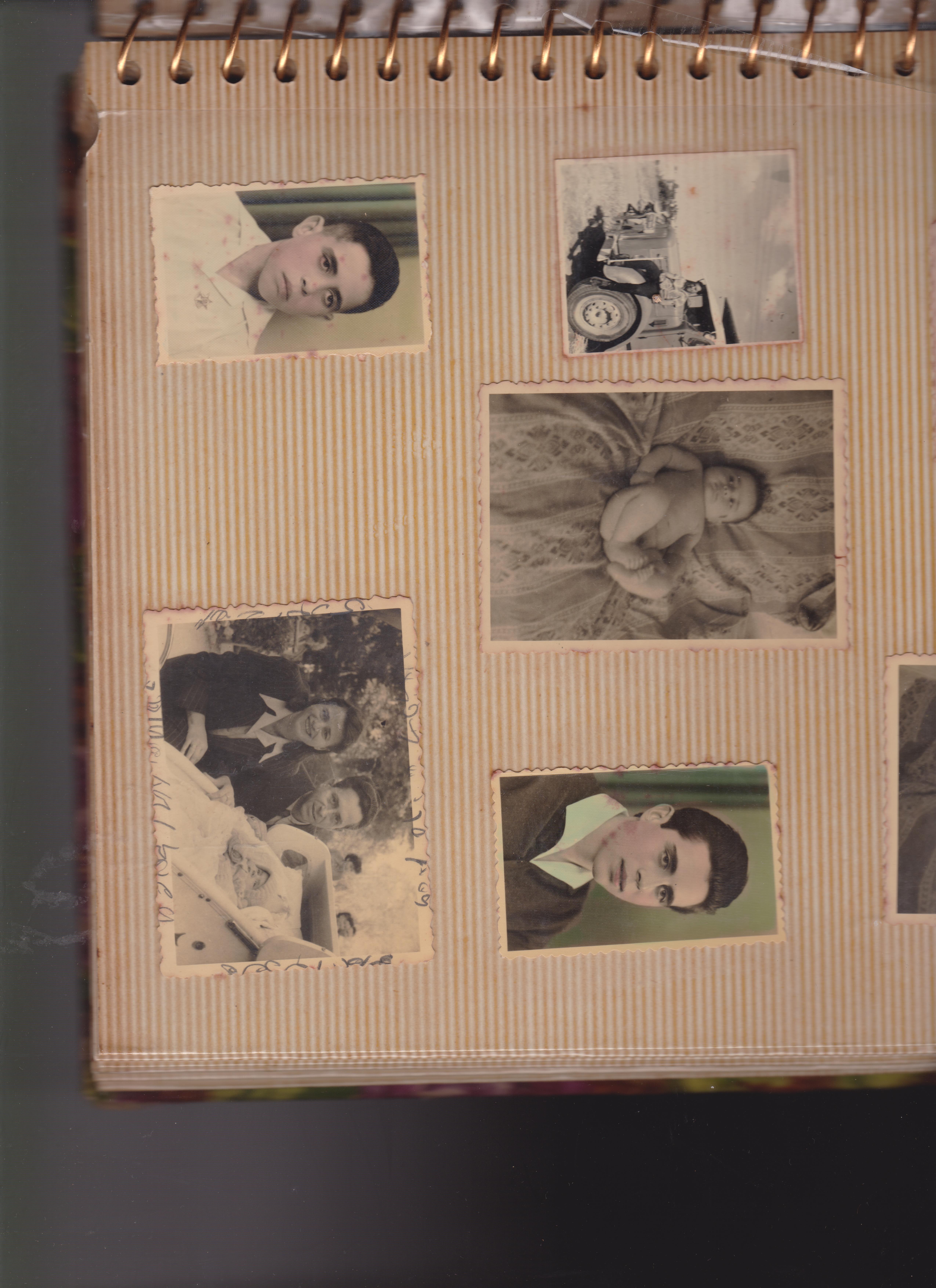 Freiman family photographs